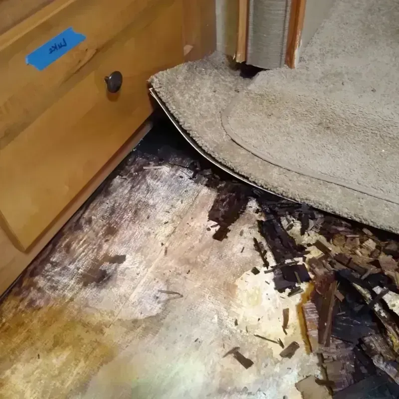 Wood Floor Water Damage in Carter County, MT